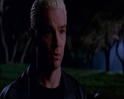 PDVD_800.jpg