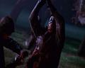 PDVD_756