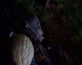 PDVD_783