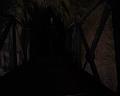 PDVD_893