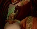 PDVD_939