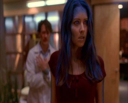 PDVD_200.jpg