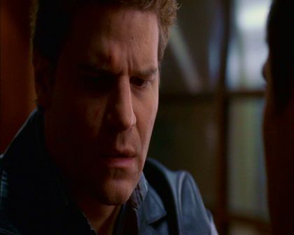 PDVD_530.jpg