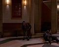 PDVD_736