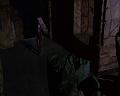 PDVD_756