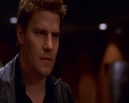 PDVD_319.jpg