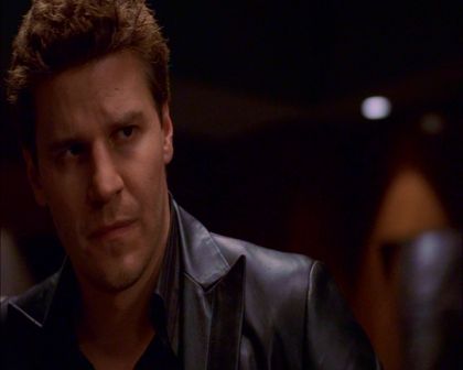 PDVD_323.jpg