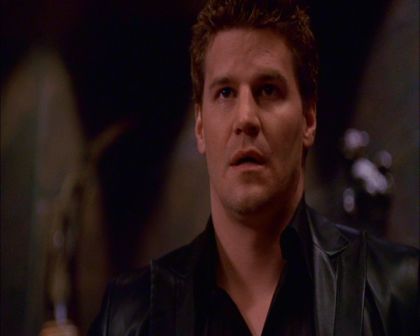 PDVD_362.jpg