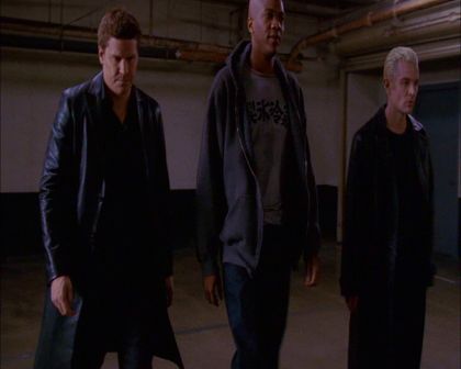 PDVD_401.jpg