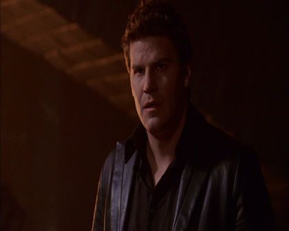 PDVD_790.jpg