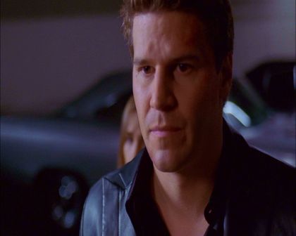 PDVD_869.jpg