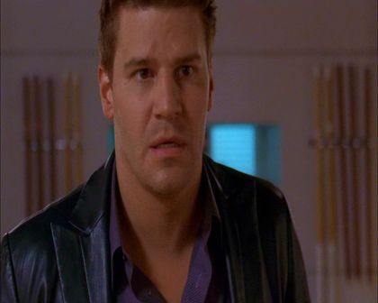PDVD_1003.jpg