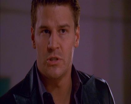 PDVD_1093.jpg
