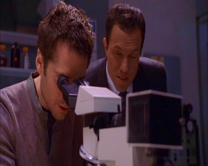 PDVD_588.jpg