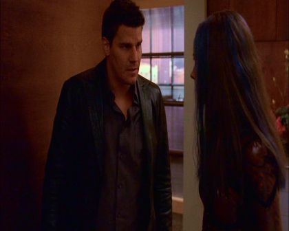 PDVD_698.jpg