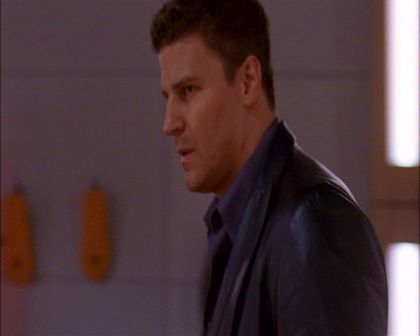 PDVD_780.jpg