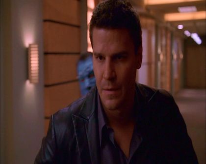 PDVD_801.jpg