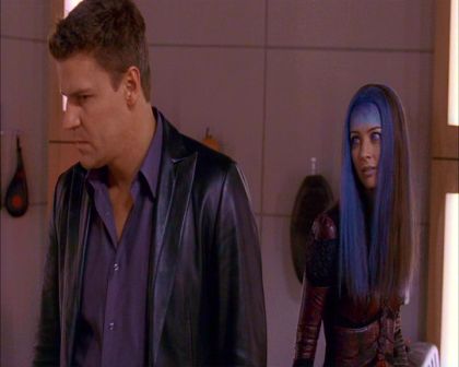 PDVD_933.jpg