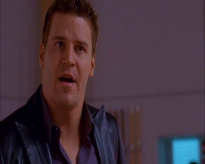 PDVD_963.jpg