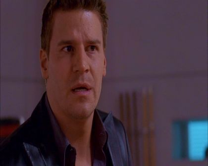 PDVD_969.jpg