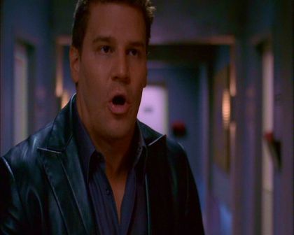 PDVD_987.jpg