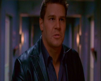 PDVD_988.jpg