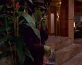PDVD_502