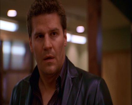 PDVD_002.jpg
