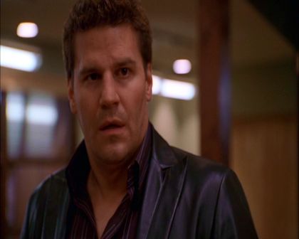 PDVD_003.jpg