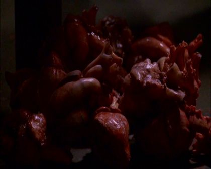 PDVD_034.jpg