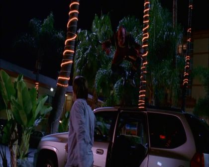 PDVD_186.jpg