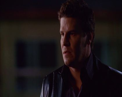 PDVD_207.jpg