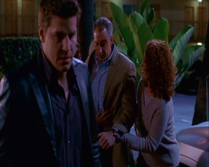 PDVD_221.jpg
