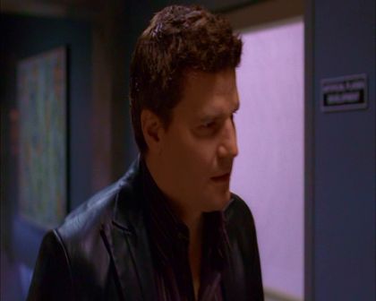 PDVD_247.jpg