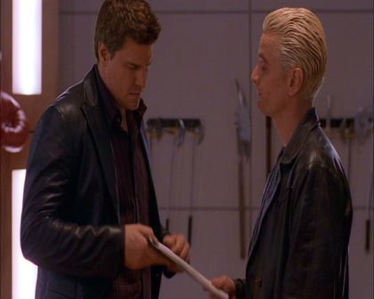 PDVD_283.jpg