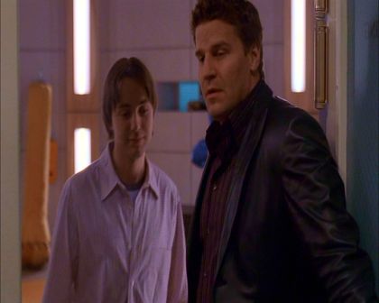 PDVD_313.jpg