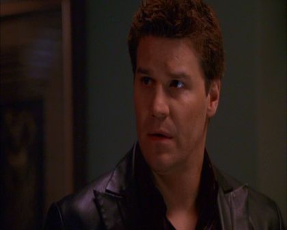 PDVD_320.jpg