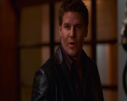 PDVD_331.jpg