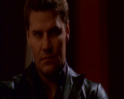 PDVD_368.jpg