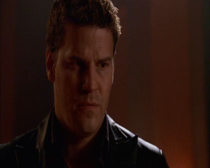 PDVD_419.jpg