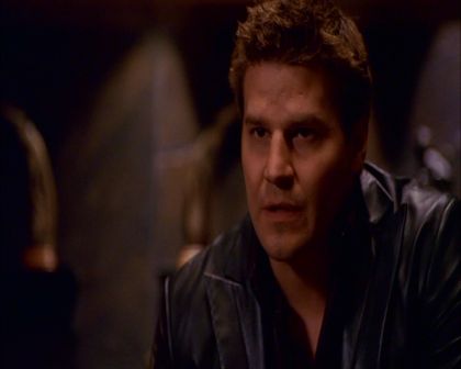 PDVD_487.jpg