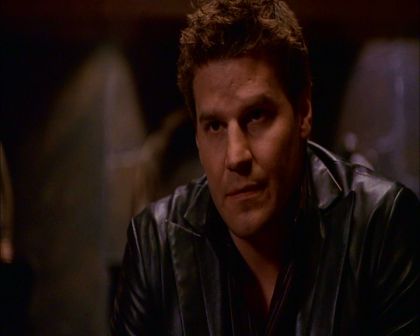 PDVD_489.jpg