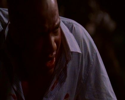 PDVD_520.jpg