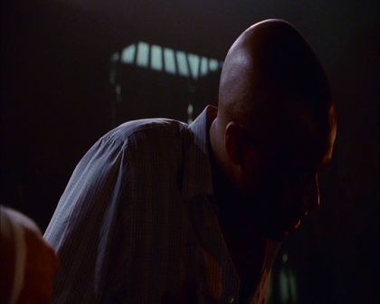 PDVD_528.jpg
