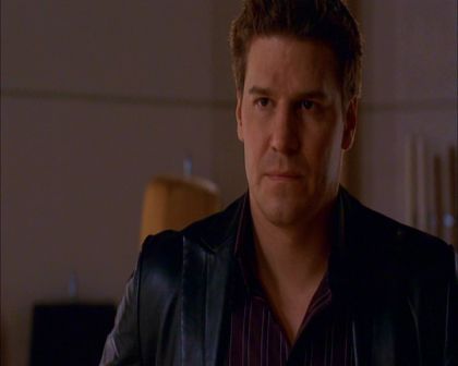PDVD_555.jpg