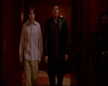 PDVD_600.jpg