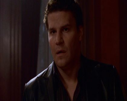 PDVD_731.jpg