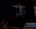 PDVD_181