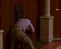PDVD_716