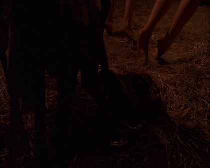 PDVD_091.jpg